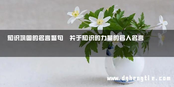 知识巩固的名言警句 关于知识的力量的名人名言